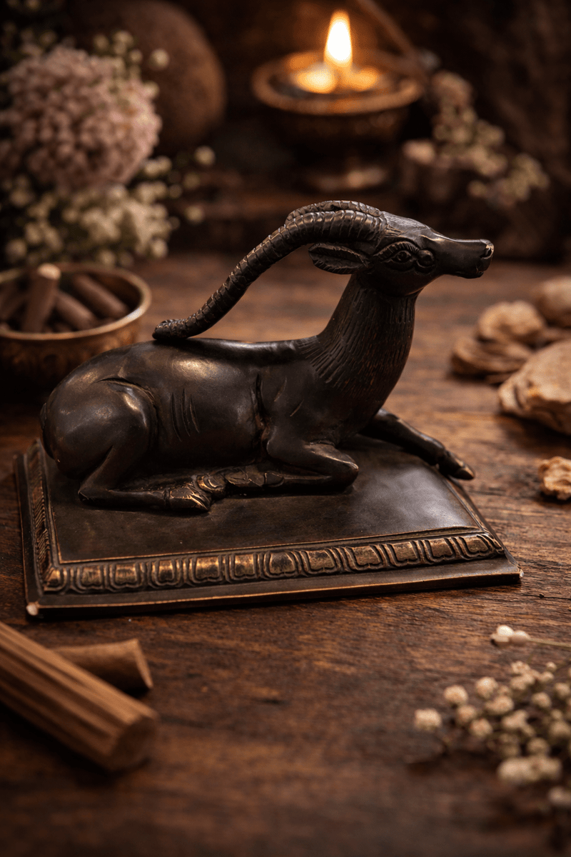 Deer Sitting BG - Kanasu Artifacts
